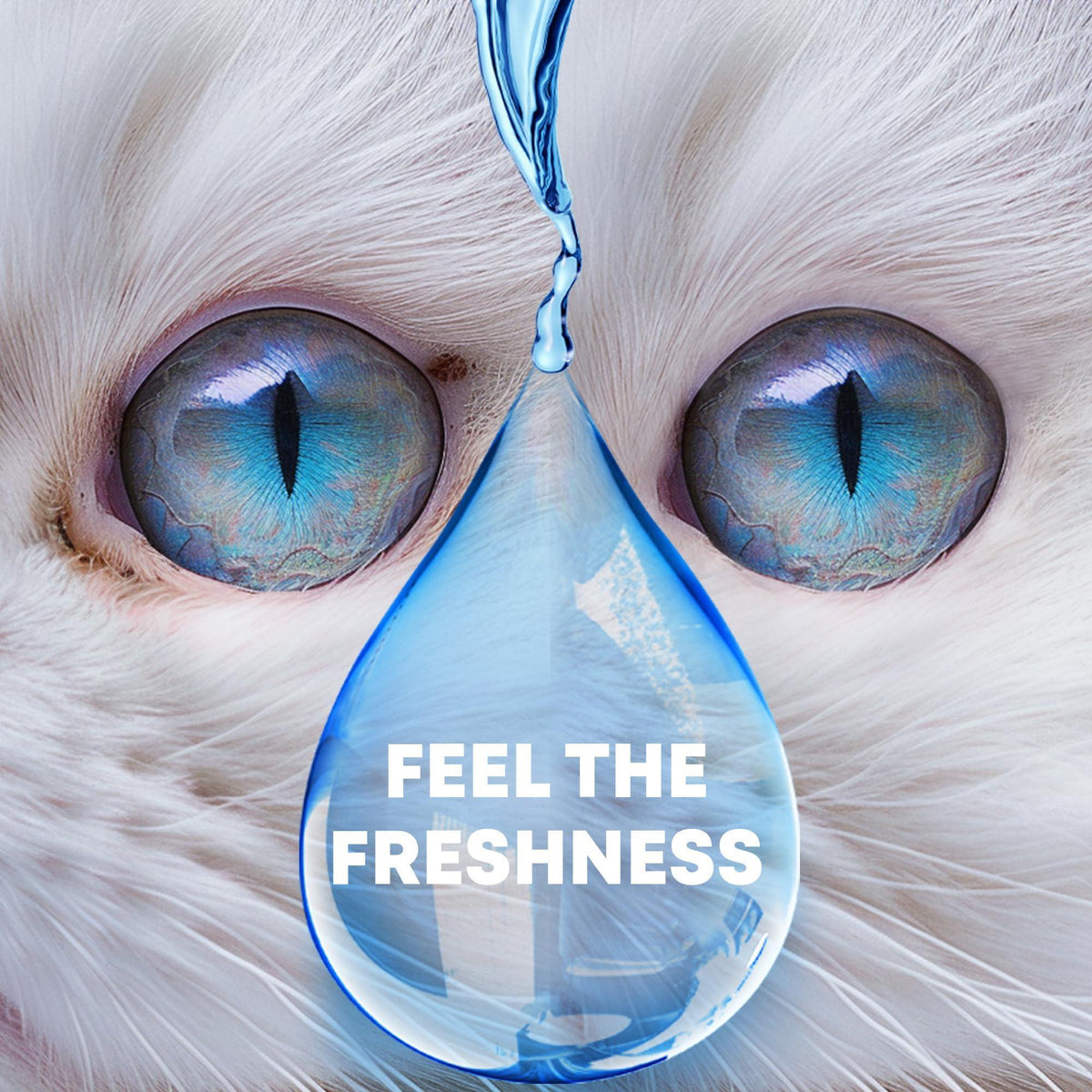 Cat & Dog Eye Wash Drops