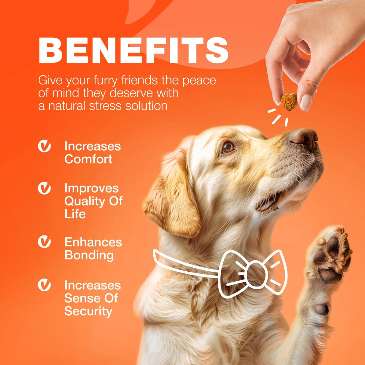 Glucosamine Chondroitin Joint Chews for Dogs