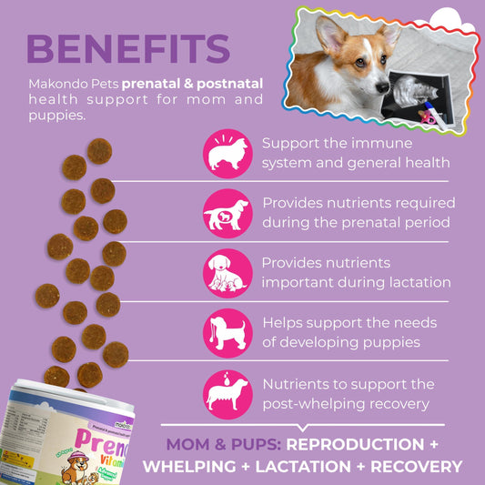 Dog Prenatal Vitamins for Pregnant Nursing Dogs