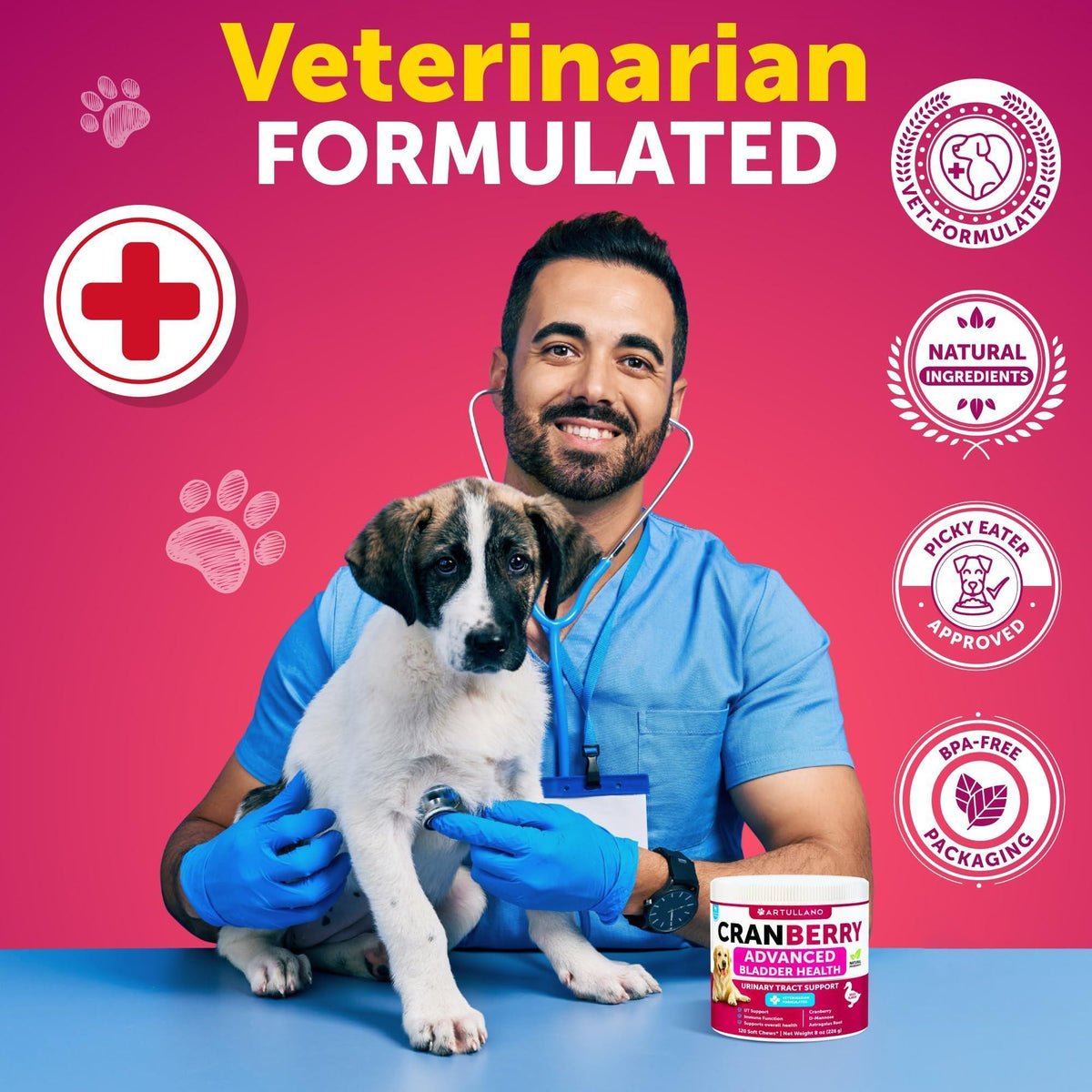 (2 Pack) Dog Urinary Tract Cranberry Chews