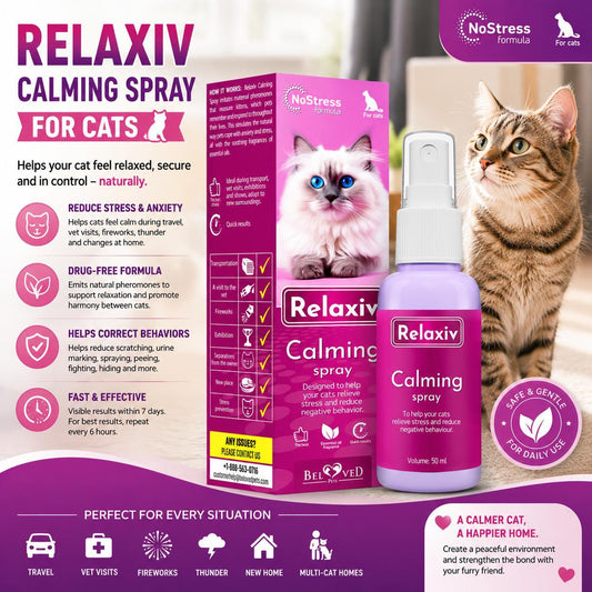 Calming Pheromone Spray for Cats – Scratch & Stress Relief