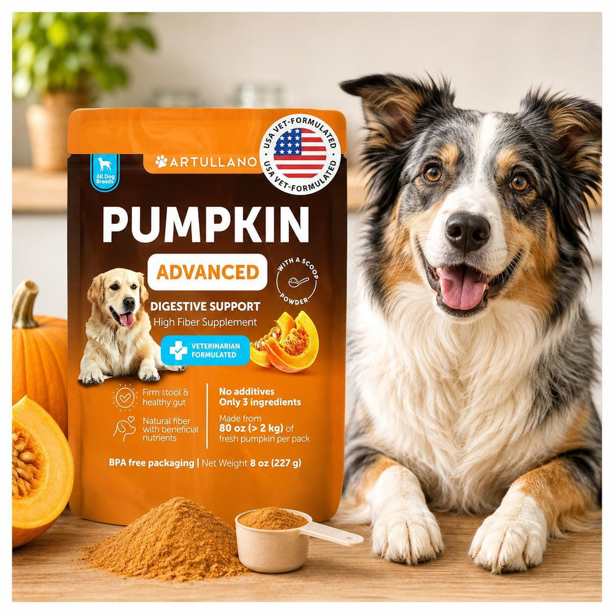 Pumpkin Powder for Dogs Digestive Support