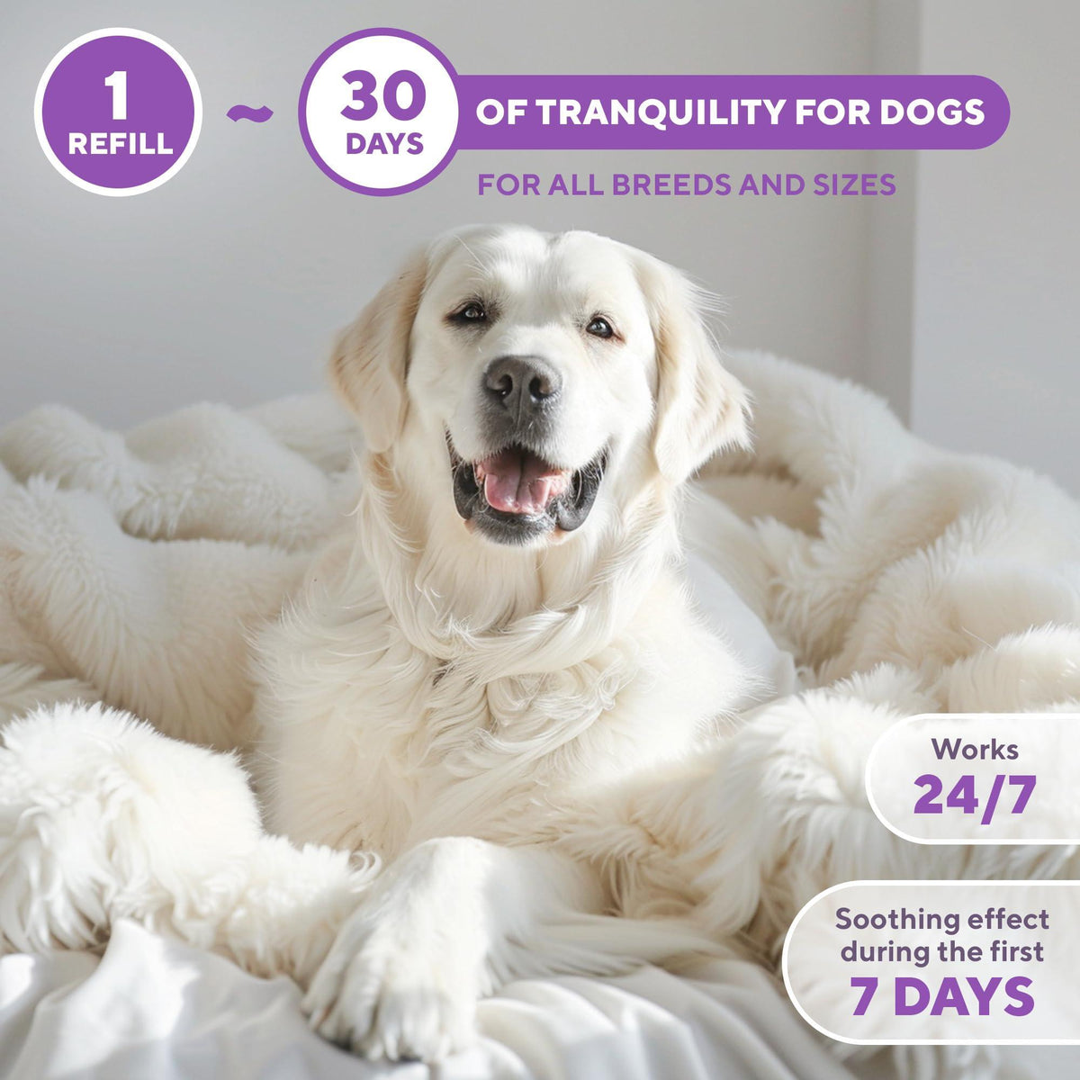 Beloved Pets Dog Calming Pheromone Diffuser Refill 2 Pack