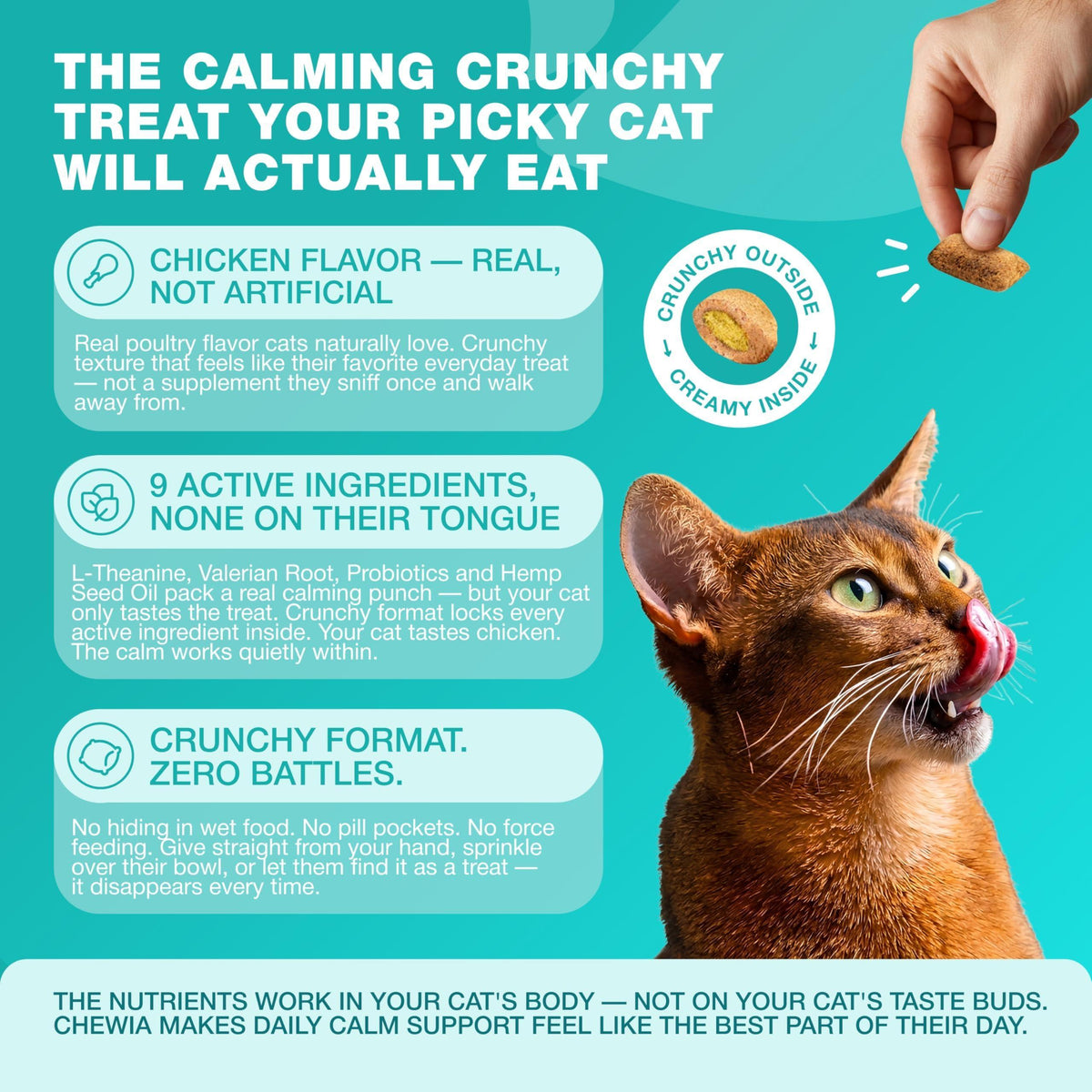 Calming Cat Vitamins & Treats for Anxiety