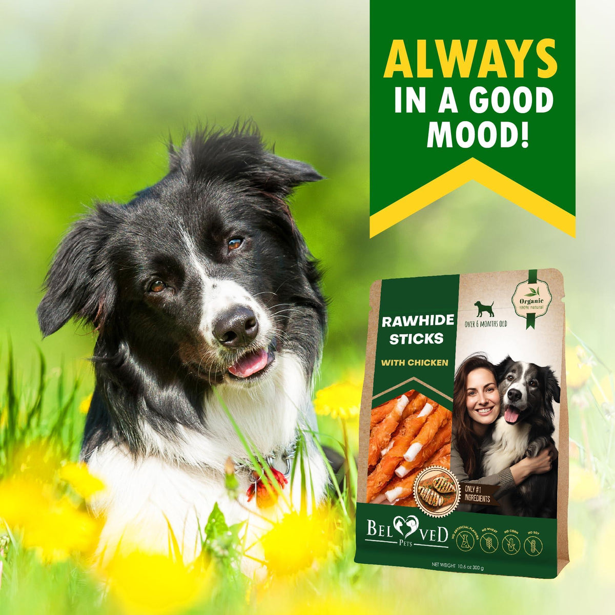 Chicken-Wrapped Rawhide Dog Chew Sticks