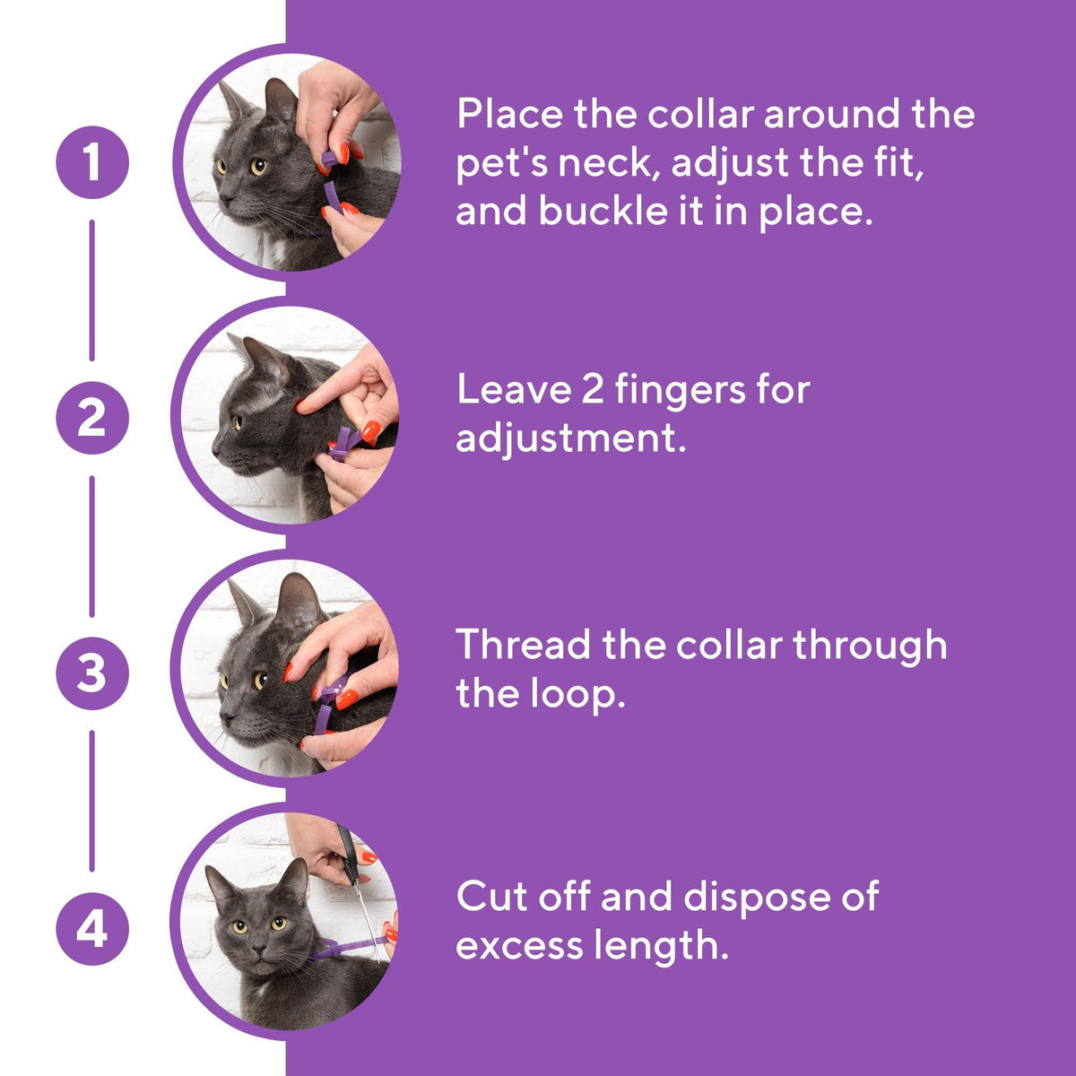 Cat Calming Collar for Anxiety & Stress Relief