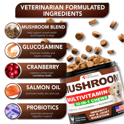 Turkey Tail Mushroom Supplement Chews for Dogs