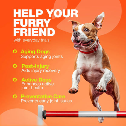 Glucosamine Chondroitin Joint Chews for Dogs