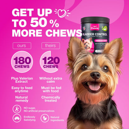 Dog UTI Cranberry Chews for Bladder Support