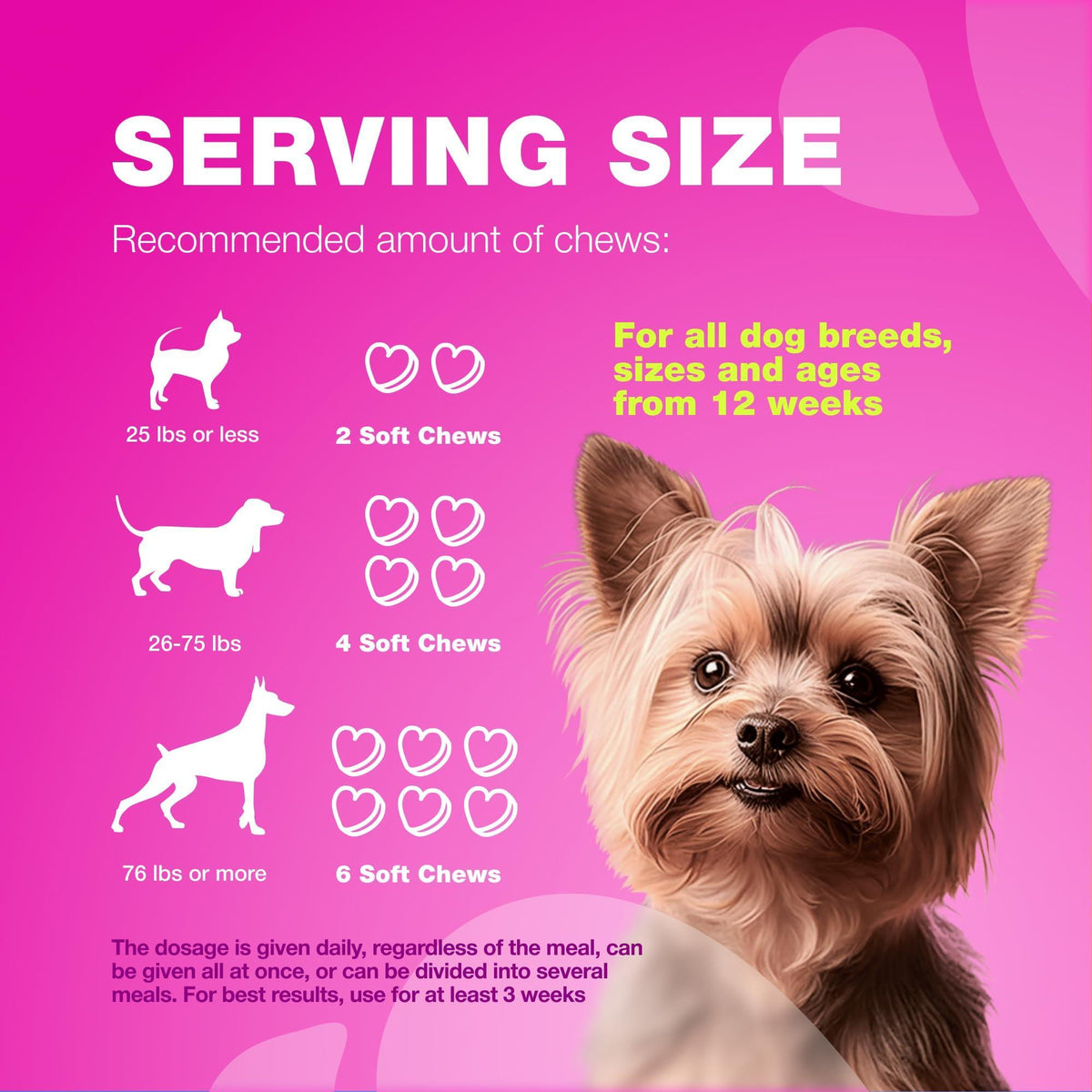 Dog UTI Cranberry Chews for Bladder Support