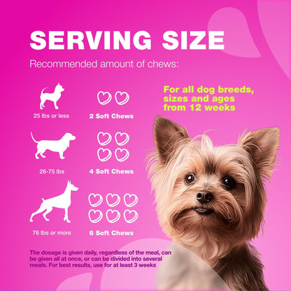 Dog UTI Cranberry Chews for Bladder Support