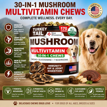 Turkey Tail Mushroom Supplement Chews for Dogs