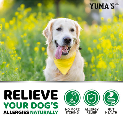 Dog Allergy Relief Chews for Itchy Skin