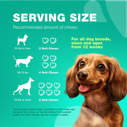 Dog Probiotic Chews for Gut Health & Digestion