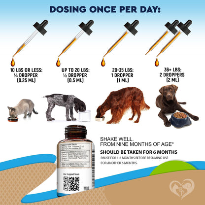 Natural Herbal Worm Treatment for Cats & Dogs