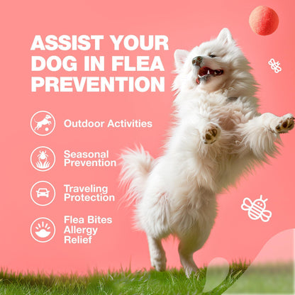 Natural Dog Flea & Tick Treatment Chews