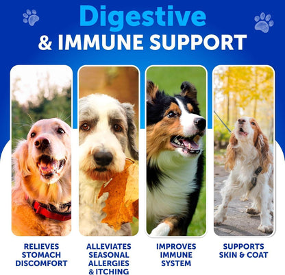 Dog Probiotic Chews for Gut Health