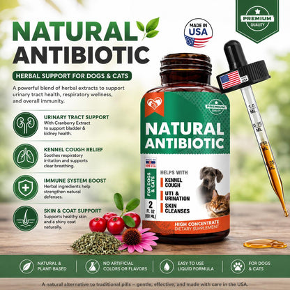 Natural Herbal Antibiotics for Cats & Dogs Support