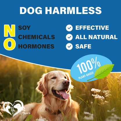 Beef Flea & Tick Prevention Chewable Tablets for Pets