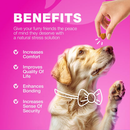 Dog UTI Cranberry Chews for Bladder Support