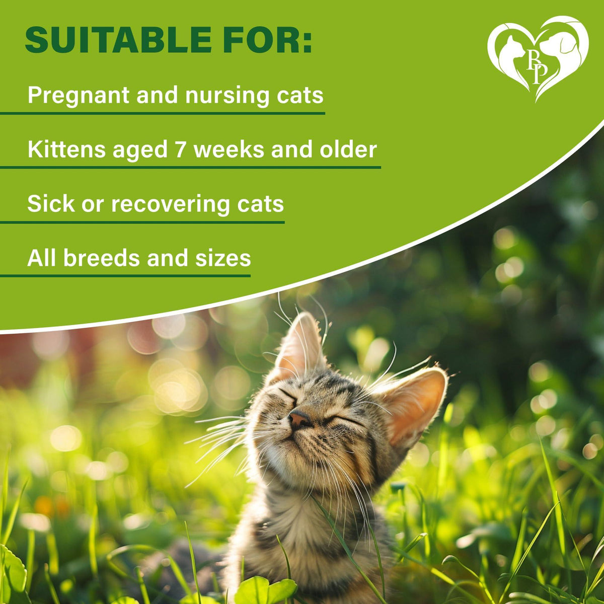 Natural Flea & Tick Collar for Cats