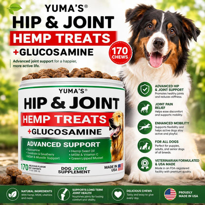 YUMA’S Hemp Glucosamine Hip & Joint Chews