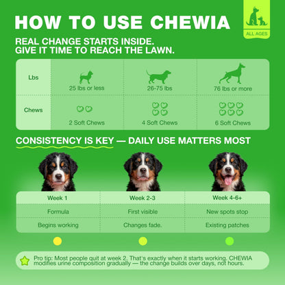 Grass Burn Spot Chews for Dogs – Lawn Saver