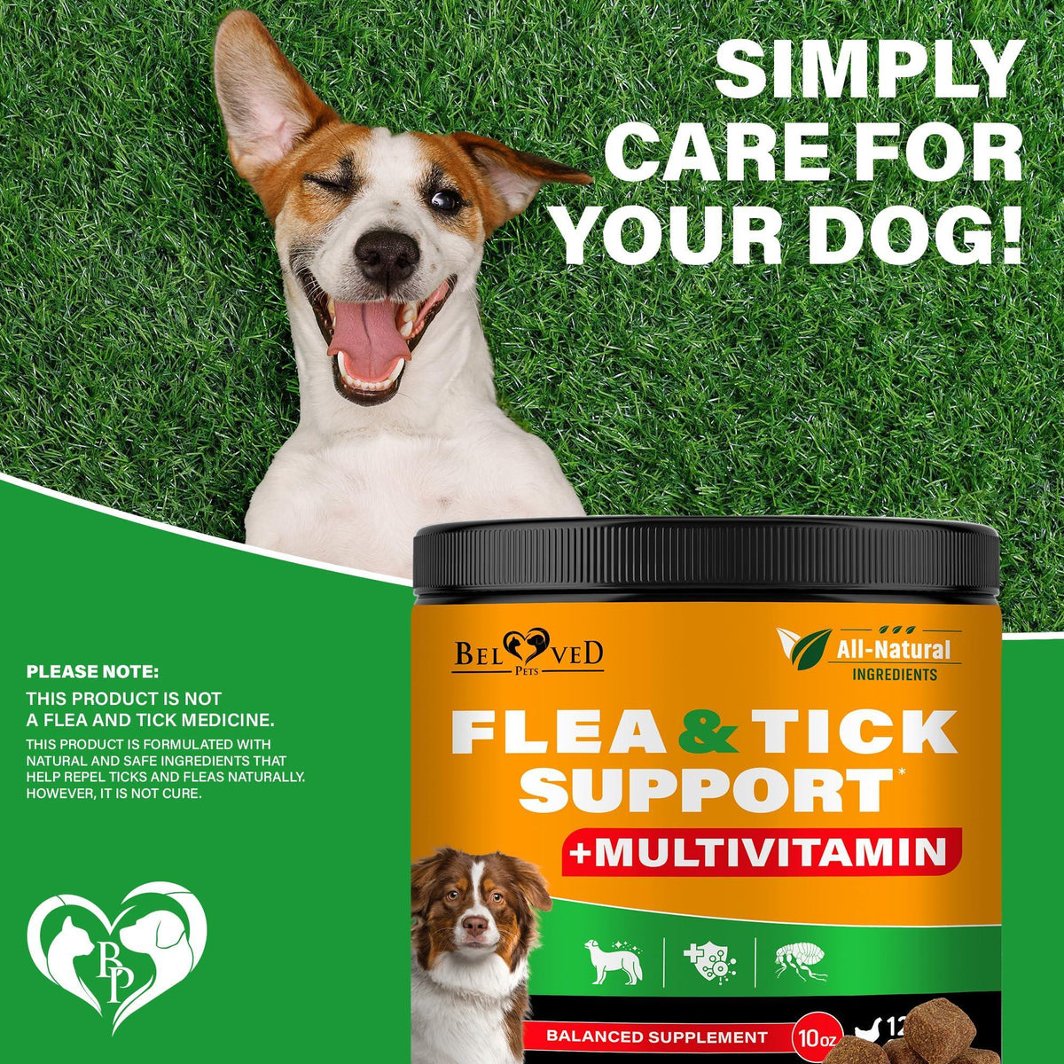 Flea and Tick Prevention Chews for Dogs