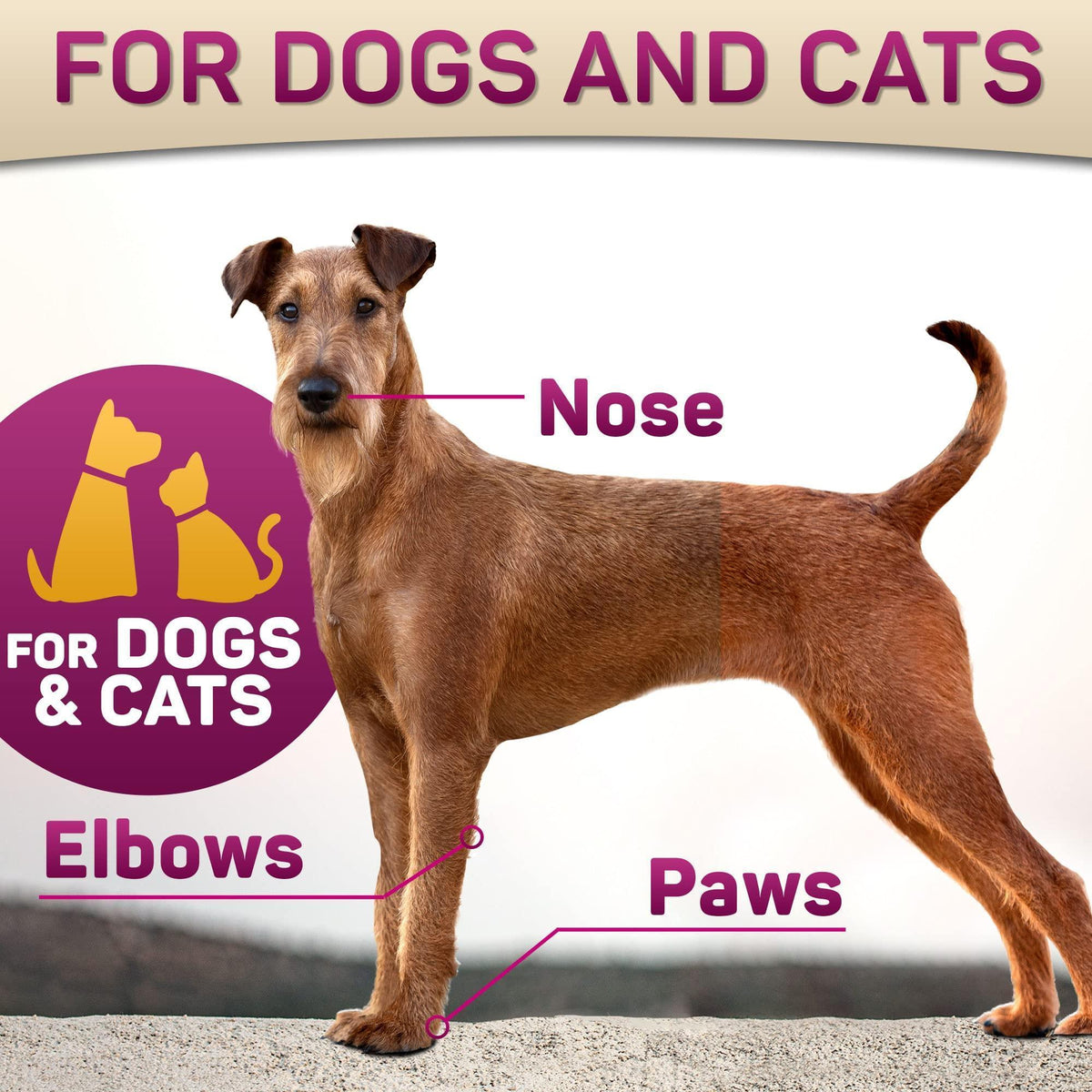 Natural Dog Paw Balm for Dry Paws