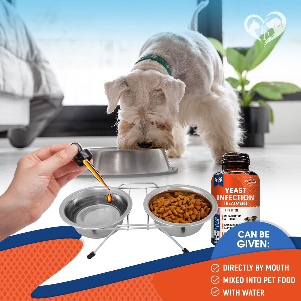 Natural Dog Yeast Infection & Itch Relief Drops