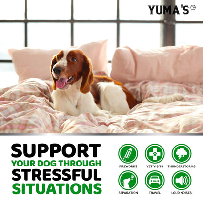 YUMA'S Hemp Calming Chews for Dogs