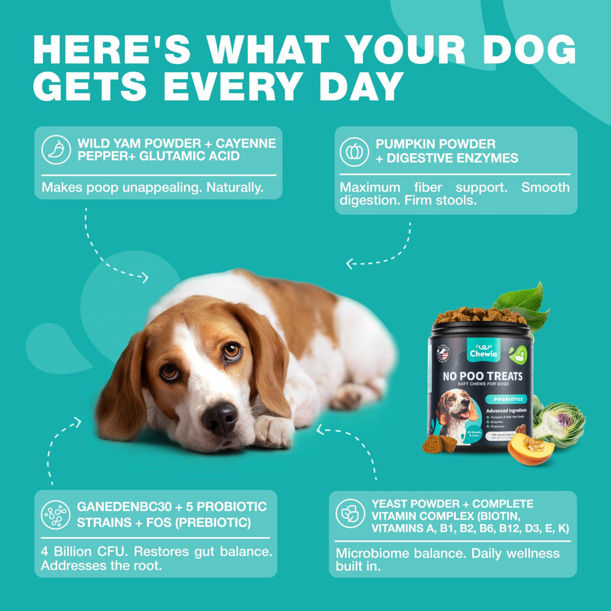 No-Poo Chews for Dogs – Stool Eating Deterrent