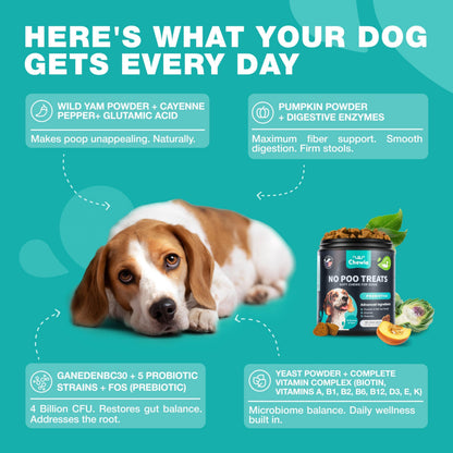 No-Poo Chews for Dogs – Stool Eating Deterrent