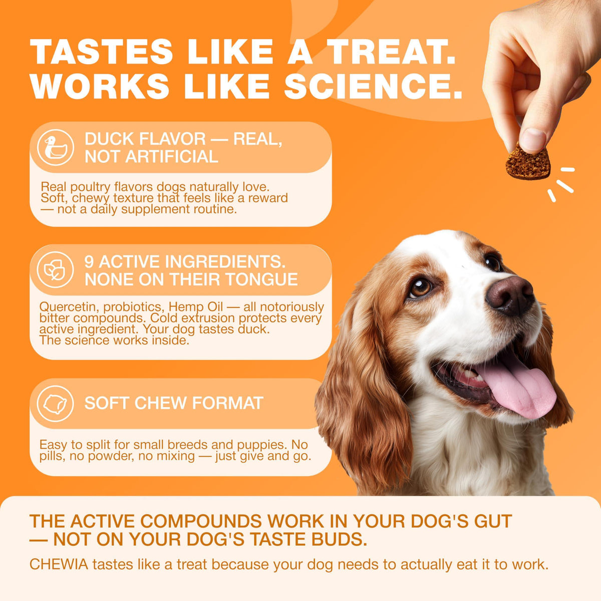 Dog Allergy Relief Chews for Itchy Skin