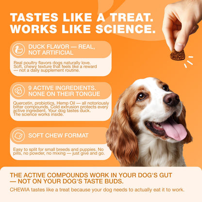 Dog Allergy Relief Chews for Itchy Skin