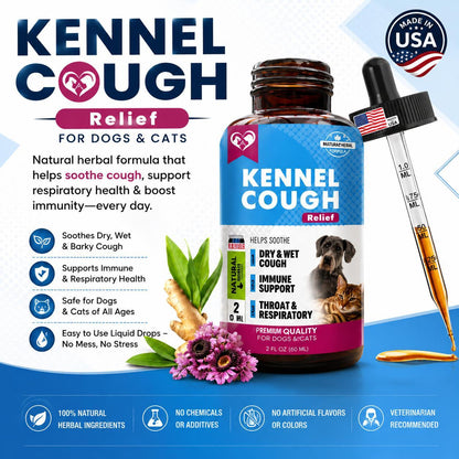 Kennel Cough Treatment for Dogs & Cats