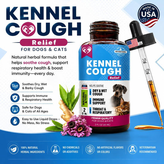 Kennel Cough Treatment for Dogs & Cats