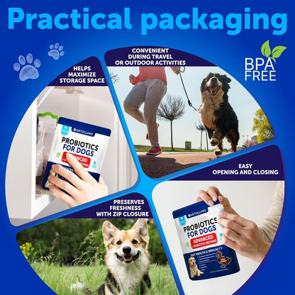 Dog Probiotic Chews for Gut Health