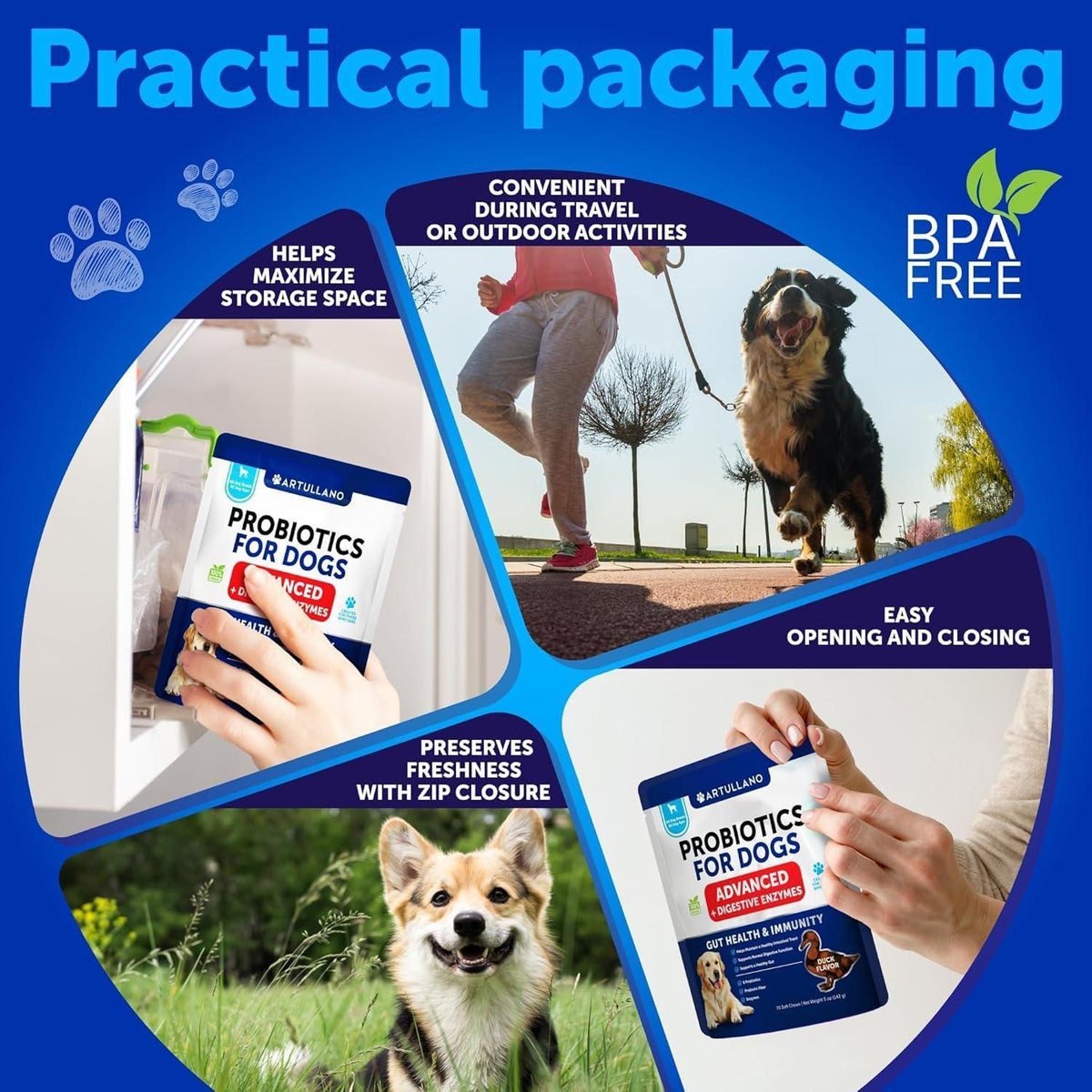 Dog Probiotics for Gut Health & Immunity