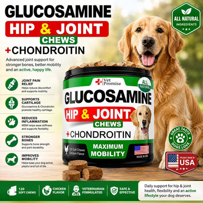 Glucosamine Joint Supplements for Dogs