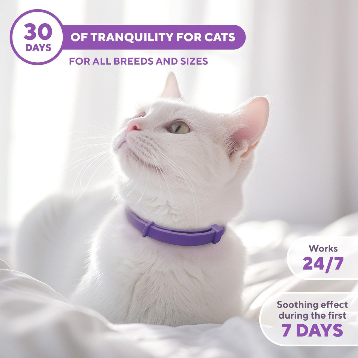 Cat Calming Collar for Anxiety & Stress Relief