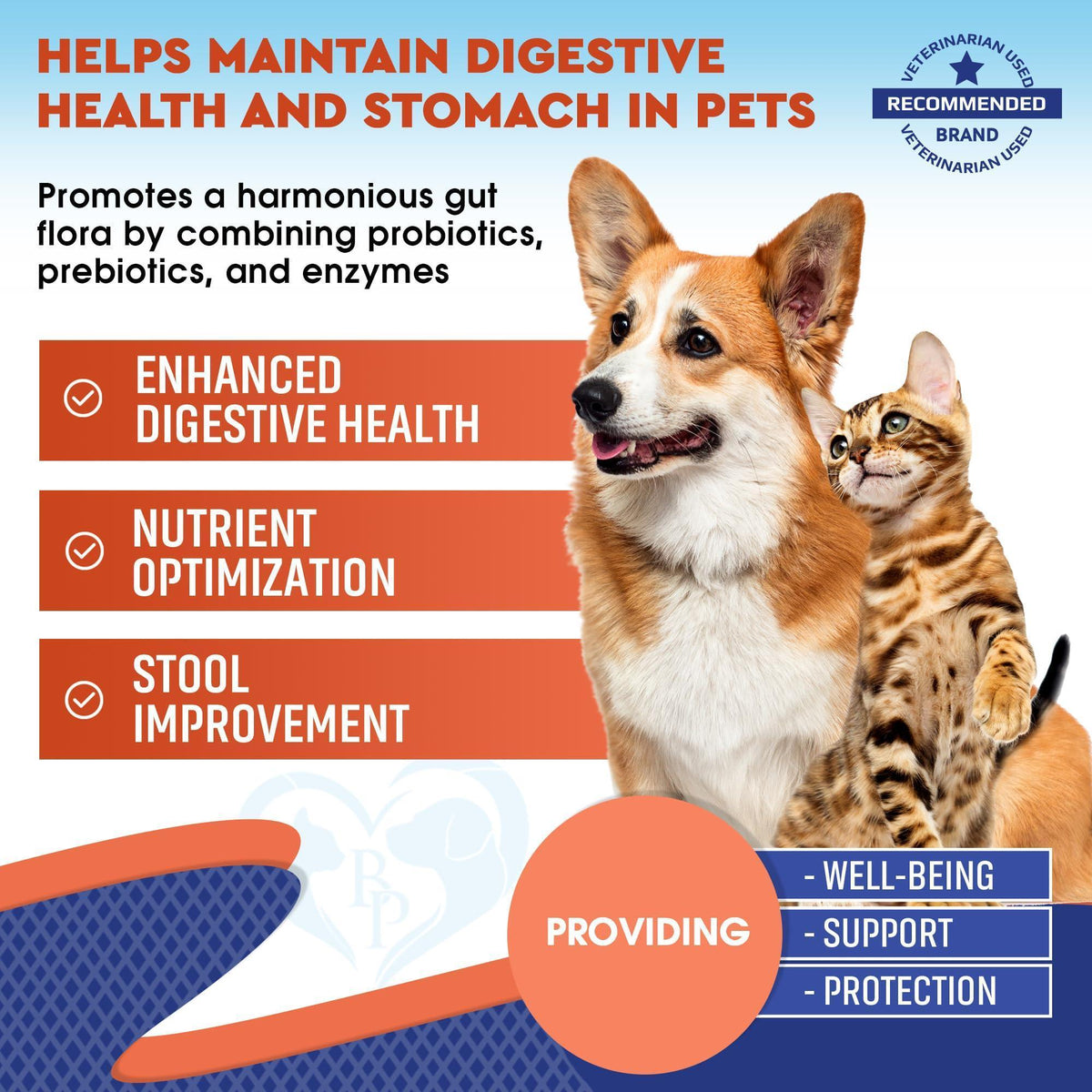 Probiotics & Prebiotics for Dogs & Cats