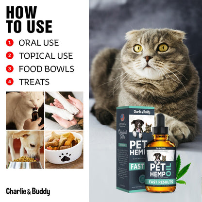 Hemp Oil for Dogs & Cats – Calming Support