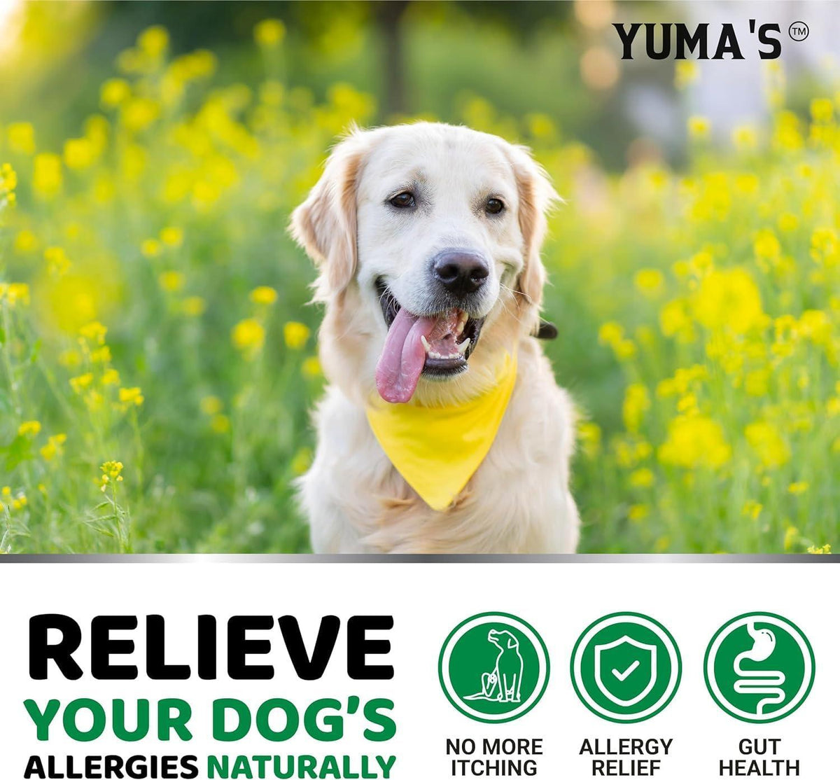 YUMA'S Dog Allergy Relief Chews – Itch & Skin Support