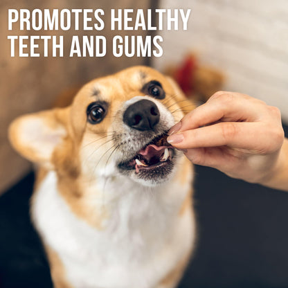 Organic Chicken Jerky Dog Treats – Grain Free