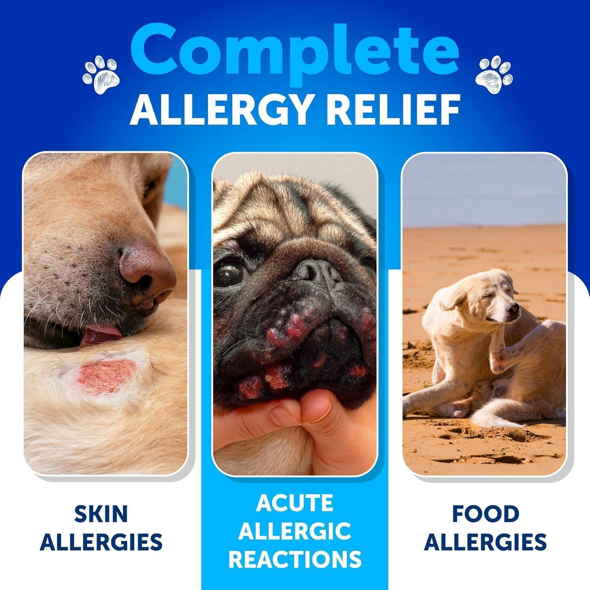 Dog Probiotics for Gut Health, Itchy Skin & Immunity