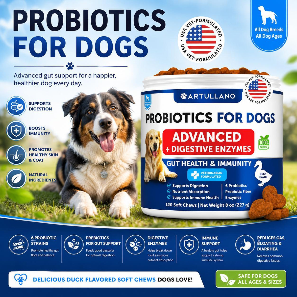 Dog Probiotics for Gut Health & Immunity