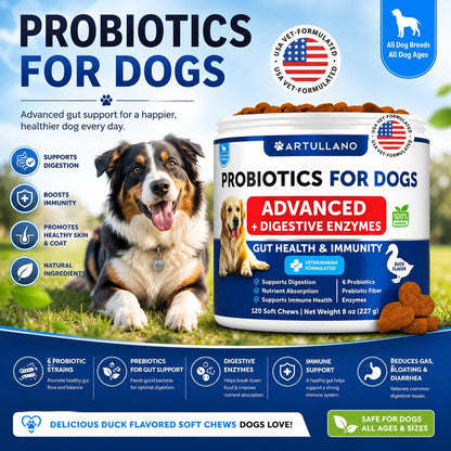 Dog Probiotics for Gut Health & Immunity