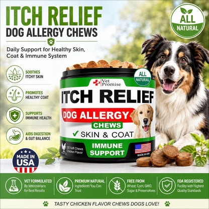 Dog Allergy Chews for Itch Relief