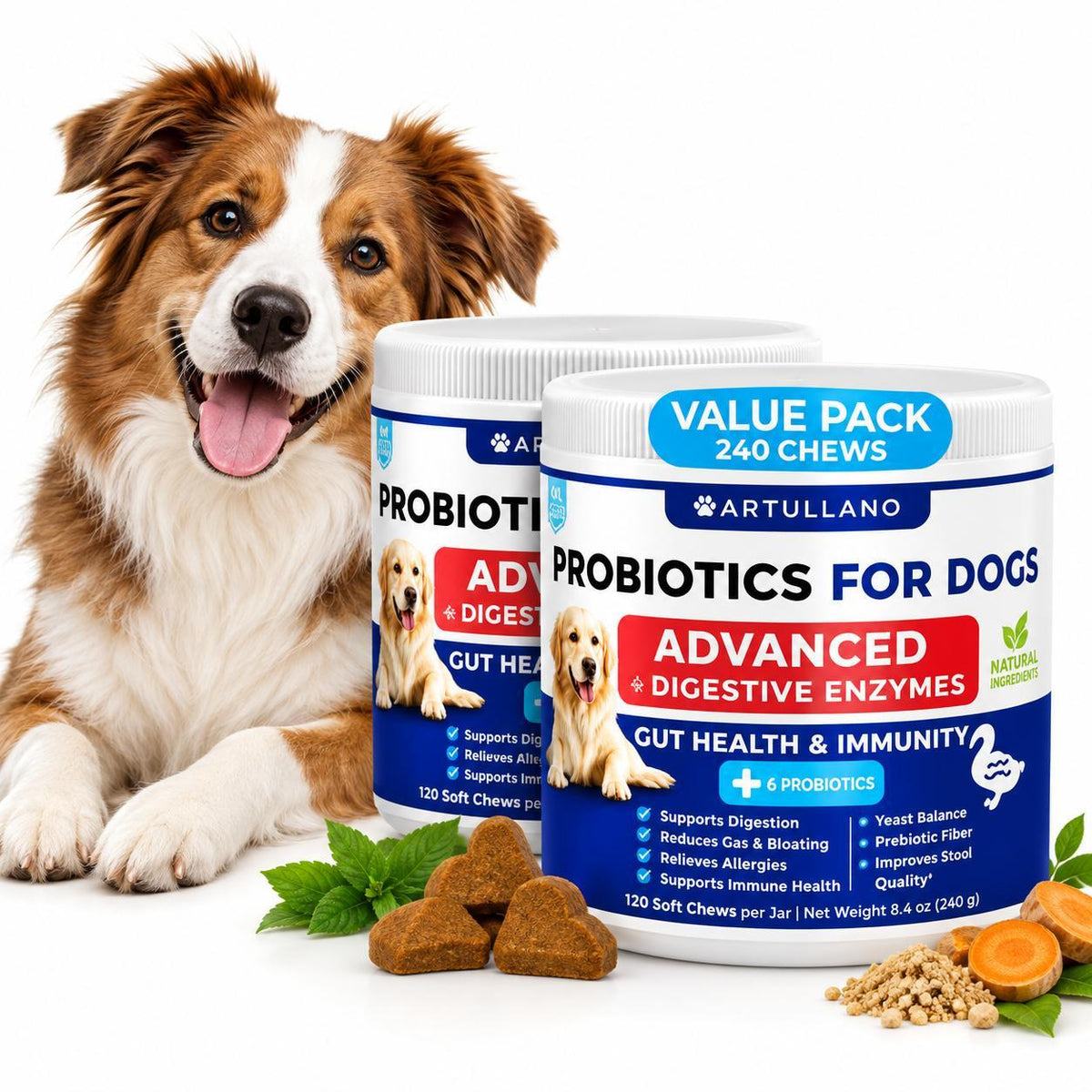 Dog Probiotic Chews for Gut Health & Immunity